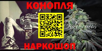 гашик Железногорск