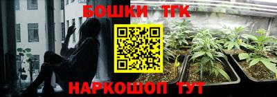 гашик Железногорск