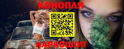 гашик Железногорск