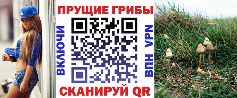 Галлюциногенные грибы ЛСД  Аргун 