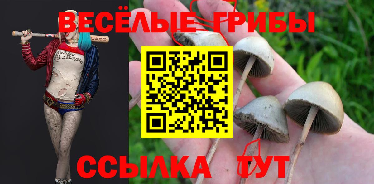 Галлюциногенные грибы GOLDEN TEACHER  Вход с VPN  Аргун 